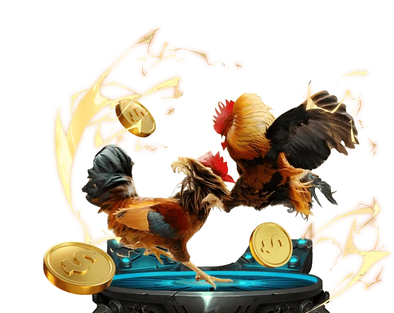 Quyền của người dùng tại 3wins Win